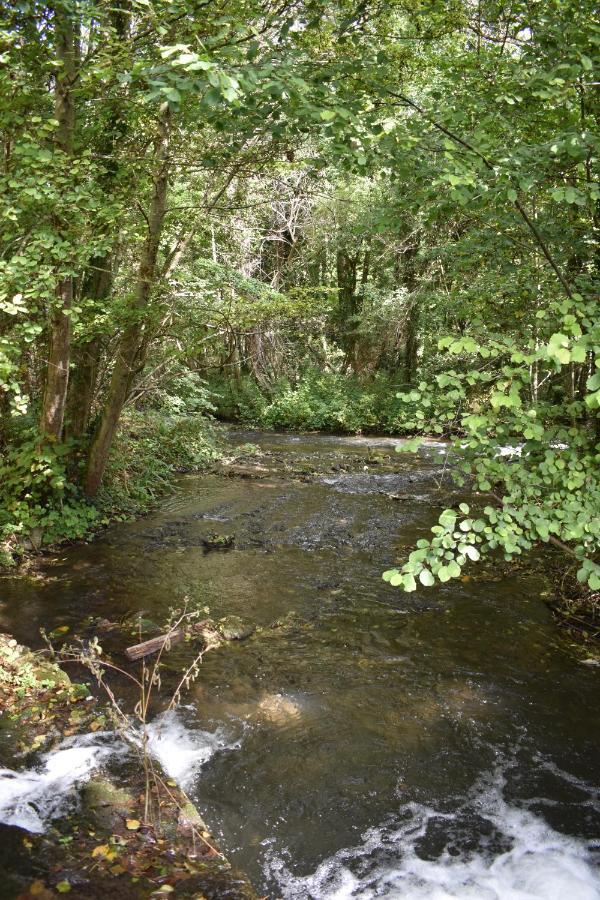 Le Moulin,19 Bis Rue De Beaudon, 45330 Augerville La Riviere Trezan Bagian luar foto